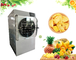 Μίνι ηλεκτρική θέρμανση μηχανών λυοφιλοποίησης τροφίμων τροφίμων προμηθευτής